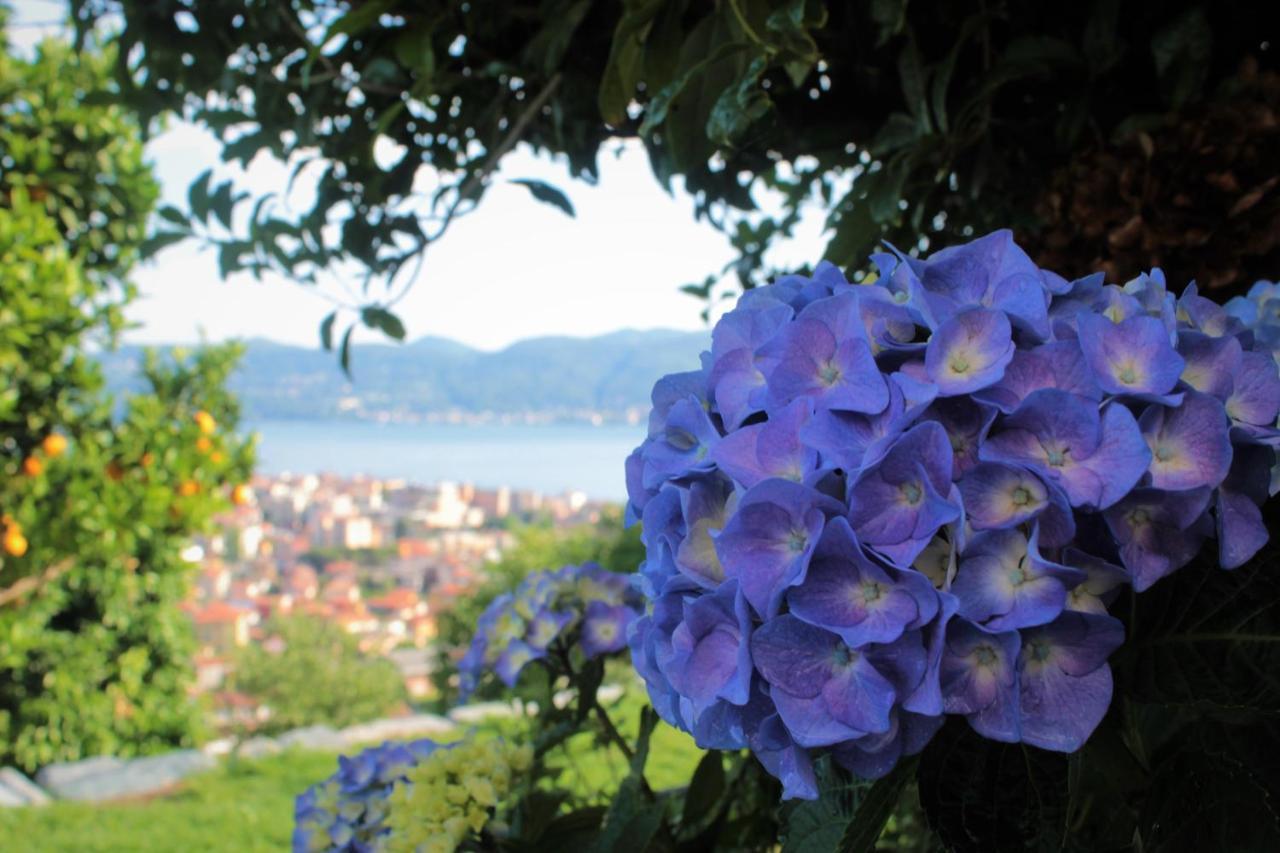 Sole Verbania